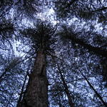 Гледките в лагера, над главите ни. 