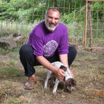 Малко куче птичар.