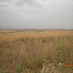Поле с жито преди Диарбекир.