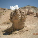 Каменото цвете.